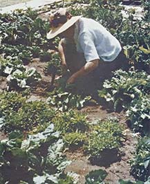 Working in the garden.